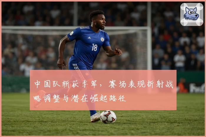 中国队斩获季军，赛场表现折射战略调整与潜在崛起路径